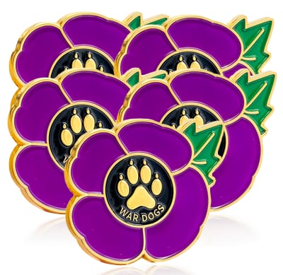 244aae1a-4668-4320-a721-dc0e1ffe3663.War Dogs x5